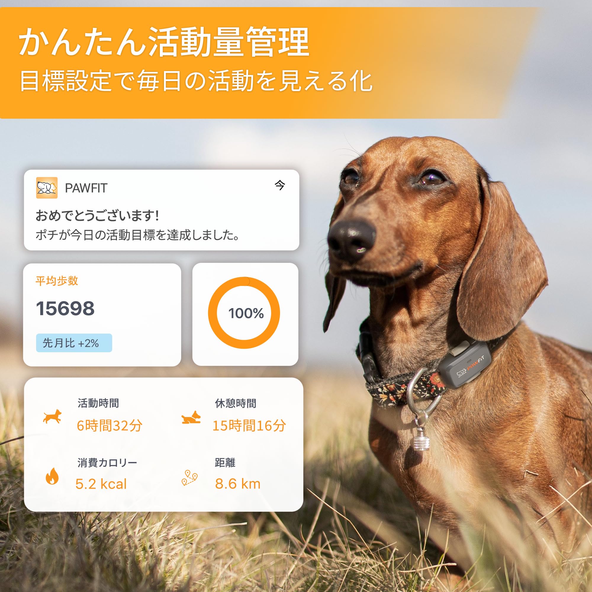 Amazon.co.jp: Pawfit Lite 4G GPS犬用トラッカー リアルタイム位置